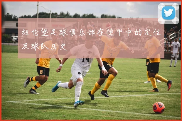 纽伦堡足球俱乐部在德甲中的定位及球队历史