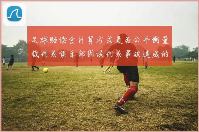 足球赔偿金计算方式是否公平衡量裁判或俱乐部因误判或事故造成的经济损失