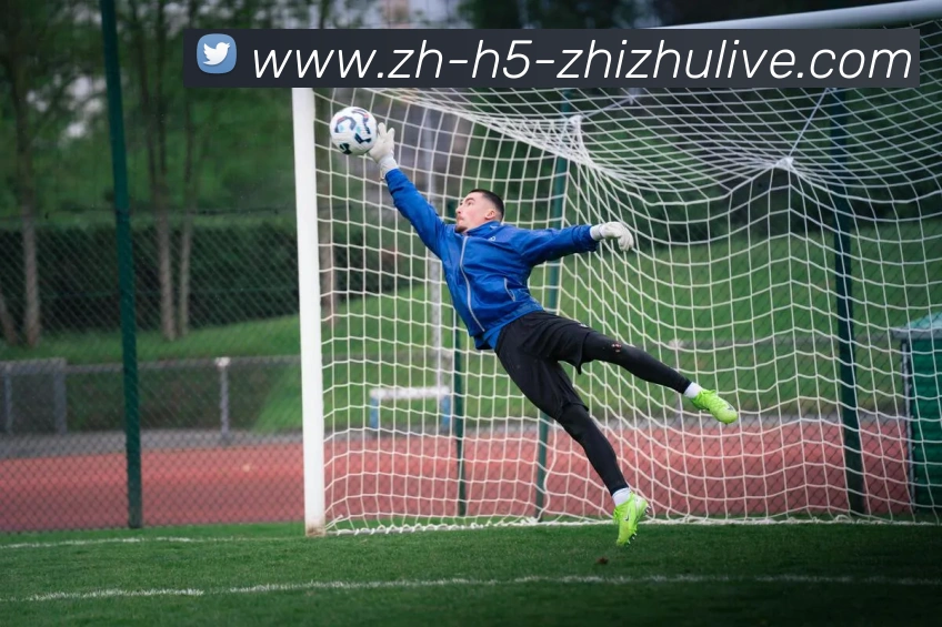 蜘蛛直播发展历程